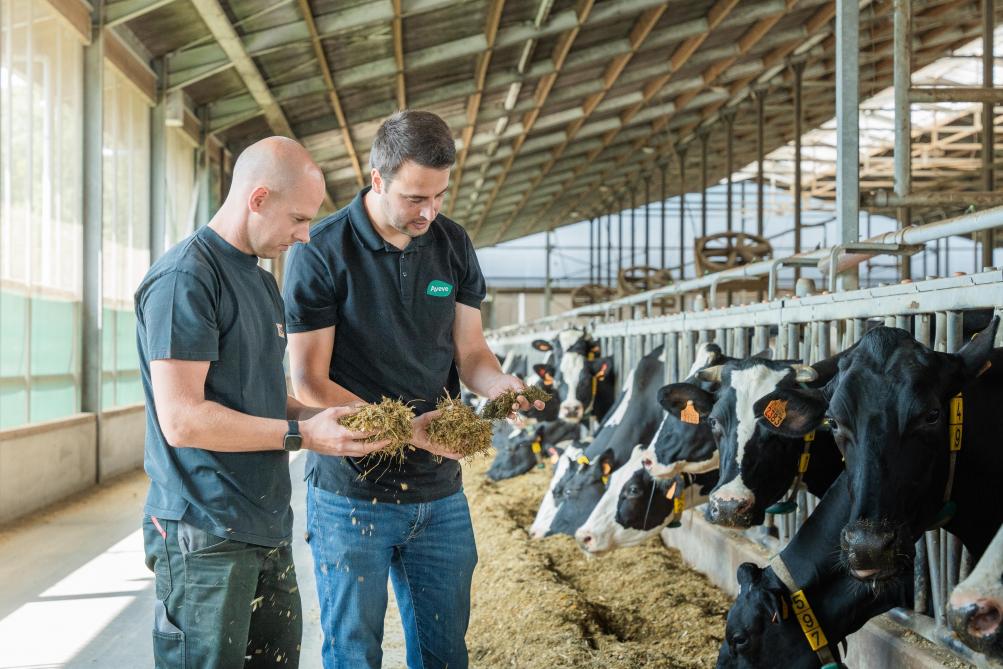 Depoorter hekelt de voortdurend veranderende wetgeving.  Onze klanten willen wel investeren in duurzame stallen, maar wachten op de goedkeuring van passende stalsystemen en vergunningen.