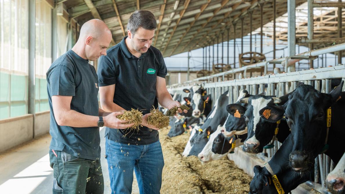 Depoorter hekelt de voortdurend veranderende wetgeving.  Onze klanten willen wel investeren in duurzame stallen, maar wachten op de goedkeuring van passende stalsystemen en vergunningen.