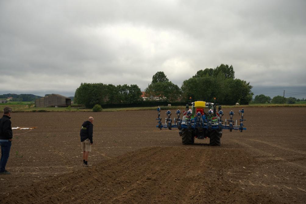 Een andere innovatieve techniek is het toedienen van slakkenkorrels tijdens het schoffelen.