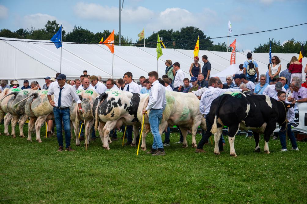 De witblauw kampioenschappen kenden dit jaar een sterke bezetting en een dynamisch verloop.