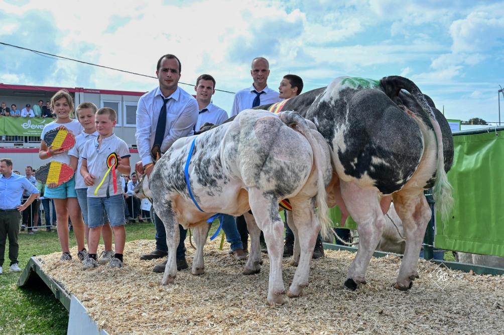 Légalité de Warichet en Objective de Warichet, kampioen bij de gekalfde vaarzen, van Vincent Mathieux uit Warisoulx.