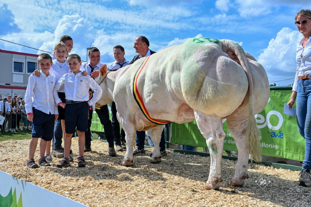 Gazelle de Spy, kampioene bij de koeien, van Daniel, Damien en Charles Van Bellegem uit Spy.