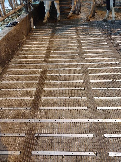 De roostervloer kreeg inox strips met perforaties. Die perforaties scheiden de vloeibare van de vaste mest.