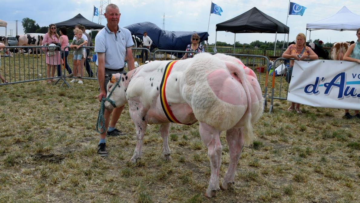 Ulrike vd Stokerij (Ronaldo) van Roger Monbaliu  uit Jabbeke werd kampioene  vaarzen tot  1 jaar.