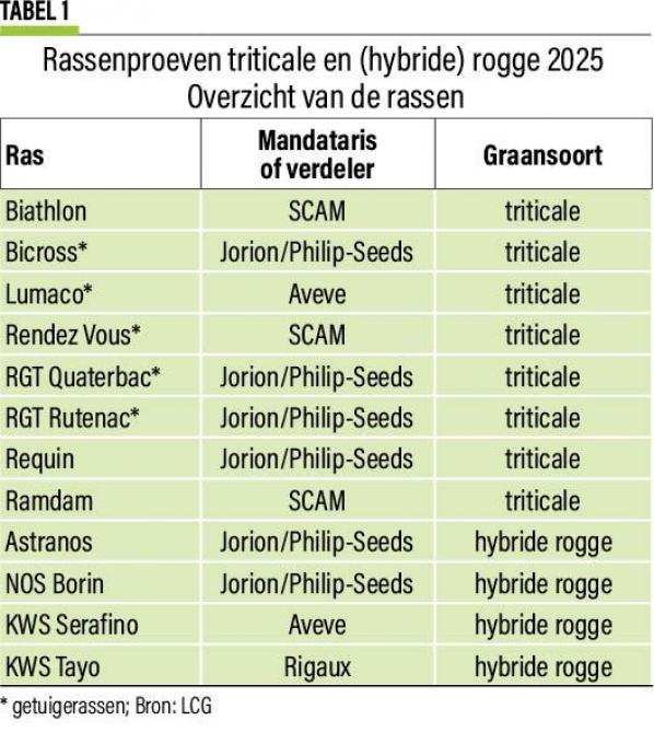 37-triticalerogge-01-web