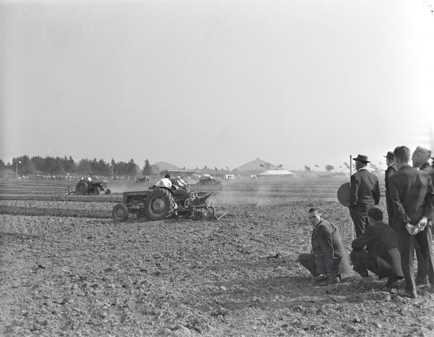 Via ploegwedstrijden maakte men de overgang van ploegen met paard naar ploegen met tractor.