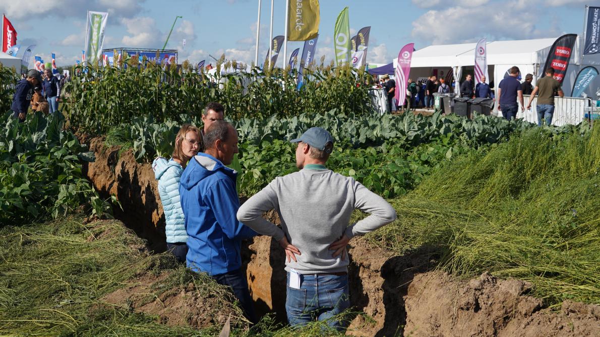Een extra groot bodemeiland maakt je wegwijs in agro-ecologische praktijken.