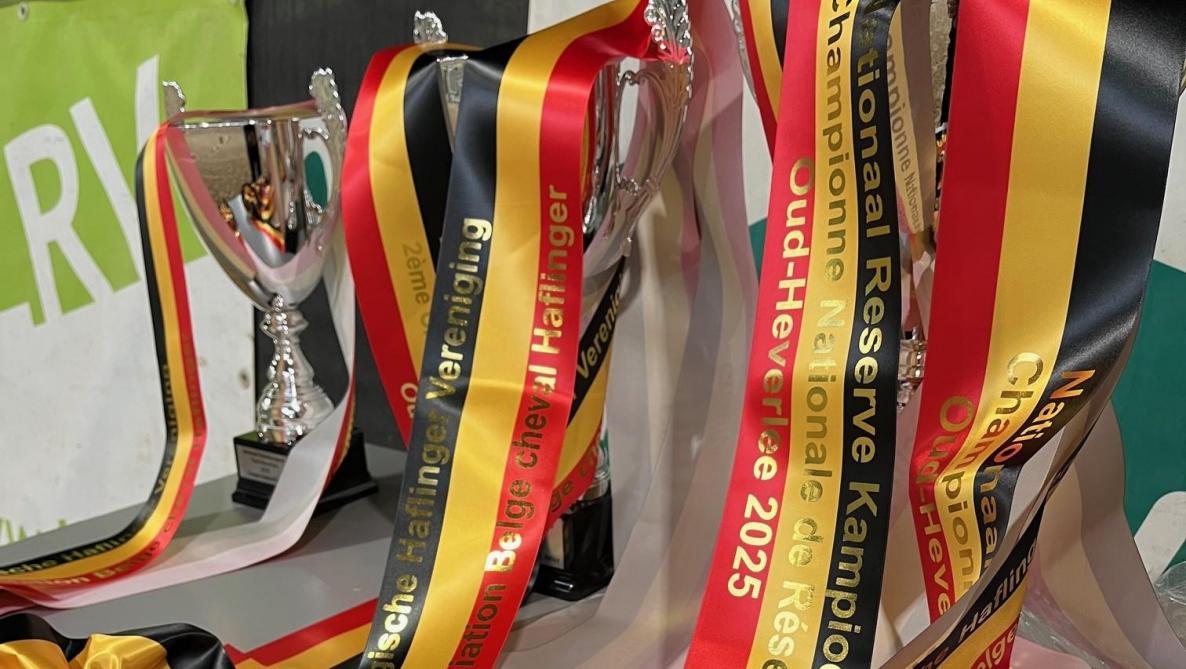 Linten voor alle nationale kampioenen en reservekampioenen