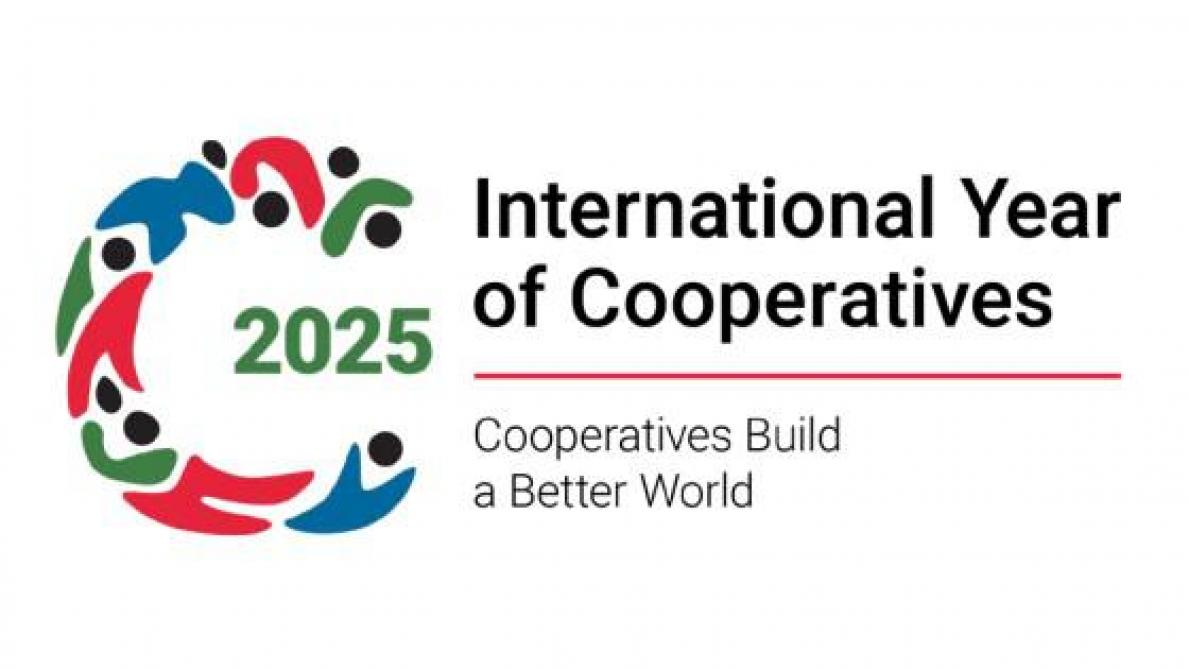 IYC2025 logo liggend