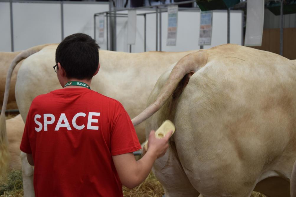 Ondanks de moeilijke sanitaire situatie in Frankrijk konden dankzij een aantal strikte maatregelen toch dierwedstrijden op de beurs plaatsvinden.