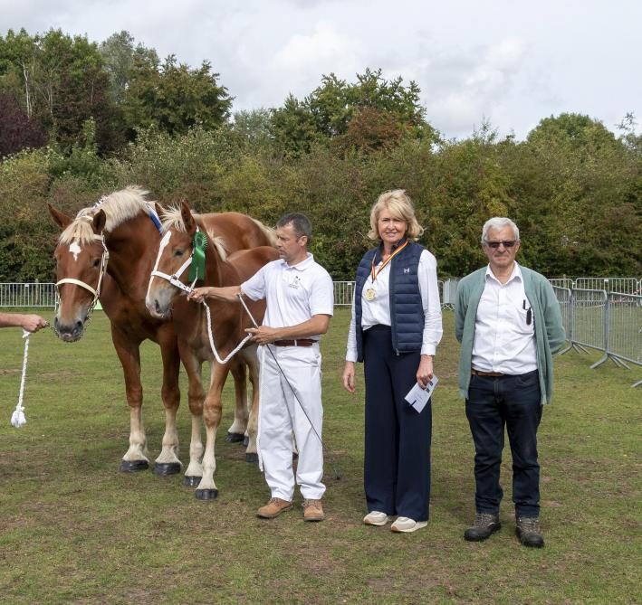 Fiston de la Heutte, met als eigenaar Marc Mahieu, werd gekroond tot jeugdkampioen van de Vlaams paard-hengsten.
