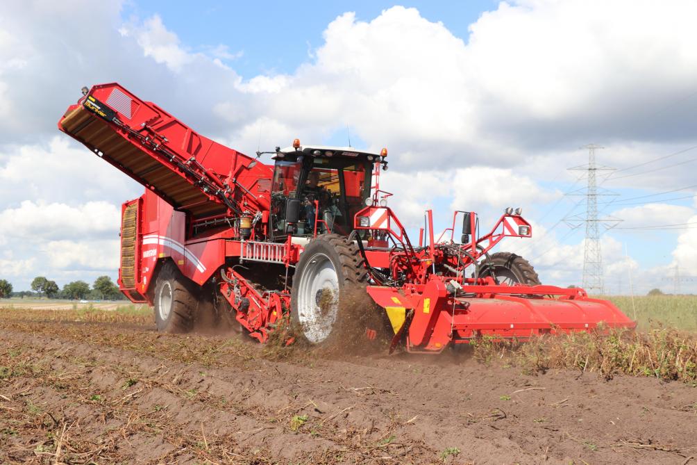 Zo'n 20 km van de thuislocatie is men volop bezig met het rooien van Seresta-zetmeelaardappelen voor de coöperatieve aardappelverwerker Avebe.