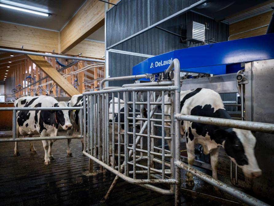 Geautomatiseerde celgetalmeters helpen om de melkkwaliteit en uiergezondheid te verbeteren.