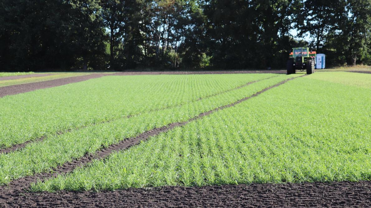 De nieuwe zaaitechniek van Amazone kan de spuitbanen tot 20° geschrankt leggen ten opzichte van de zaairichting, en dit om de erosie te beperken.
