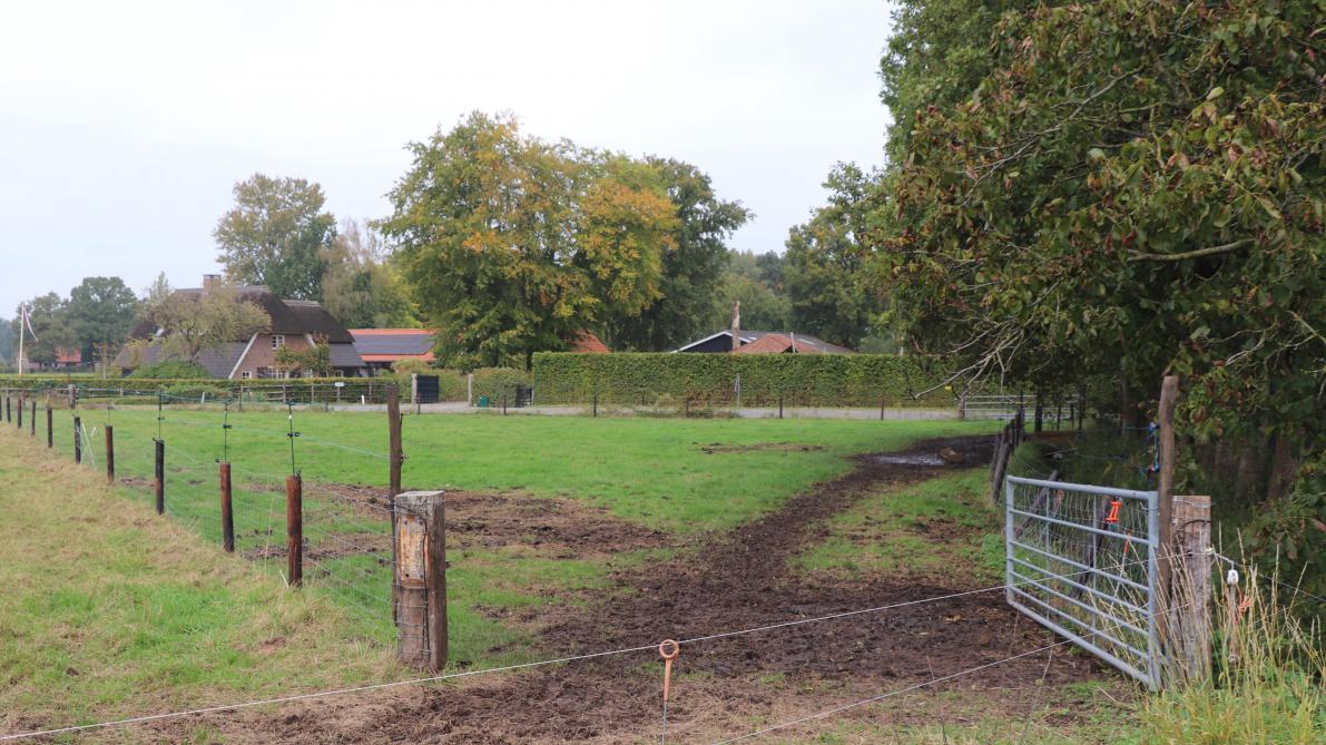 Het jongvee wordt ‘s nachts in een ‘kraal’ gestopt met op hoogte stroomdraden gemonteerd, om hen te beschermen tegen de wolf.