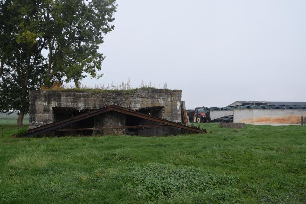 De sleufsilo’s op het bedrijf van Susan Mahieu en Joren Deblock barsten uit hun voegen. De bunker ligt in de weg om ze zomaar te verlengen.