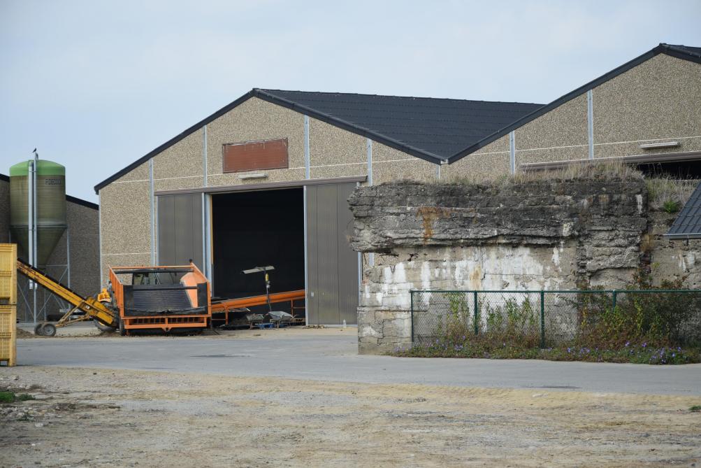 De bunker op het landbouwbedrijf van Heidi Soenen en Bart Schouteten is ingeklemd tussen de bedrijfsgebouwen en de gezinswoning.