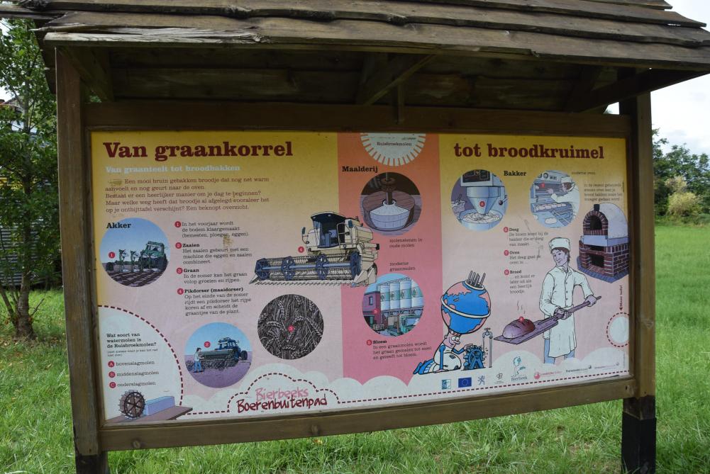 Philippe Sergeant wilde op de site een totaalverhaal maken omtrent ‘graan’.