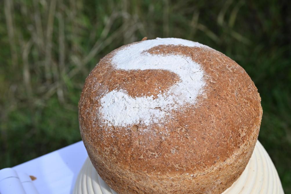 Het Traagste Brood heeft een ‘bibliotheek’ van zo’n 300 graansoorten, waarvan ze er een 15-tal gebruiken voor 22 soorten brood.