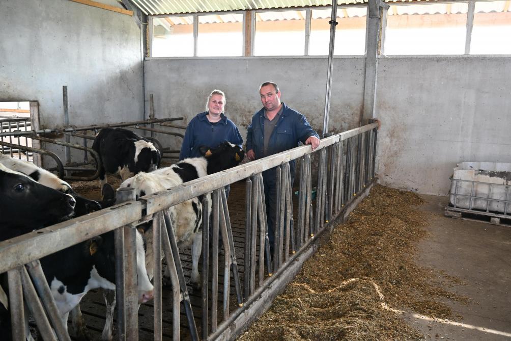 Het koppel uit Ravels droomtvan een softijs-automaat en andere grote en kleine investeringen, maar eerst bouwen ze hun woning aan het bedrijf.