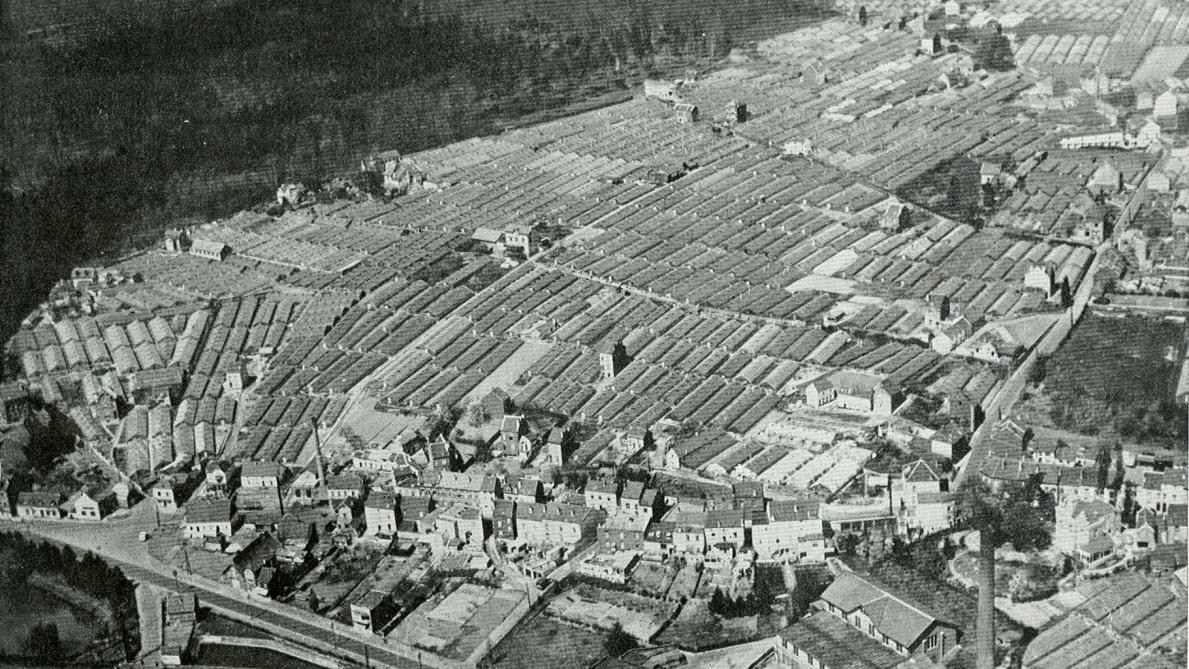 Luchtfoto van ‘glazen dorp’ Hoeilaart in de glorierijke jaren van de druiventeelt.