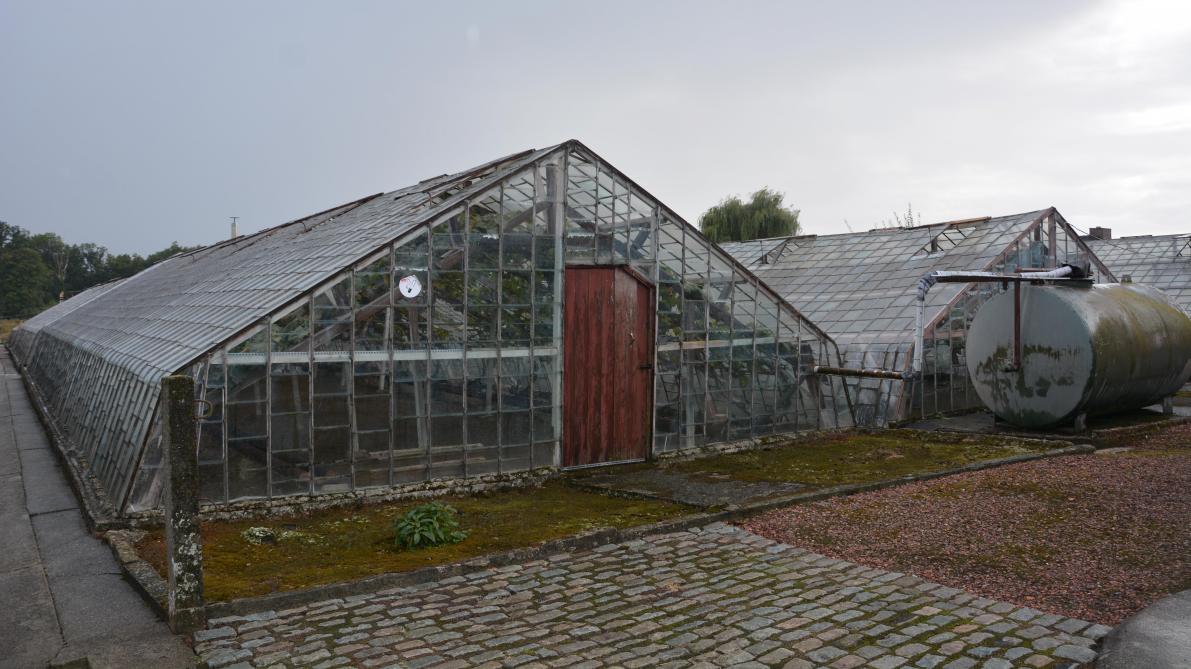 Voorbeeld van een typische serre waarin tafeldruiven worden geteeld. Rechts een stookolietank om de serre te verwarmen.