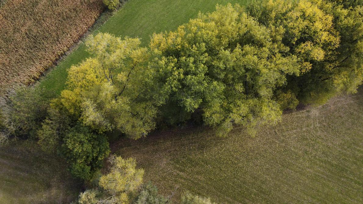 Volgens Joost Dessein zal er in de toekomst nog steeds voldoende voedsel geproduceerd worden, maar als er niet ingegrepen wordt, zal dat zonder landbouwers zijn zoals we die nu kennen.