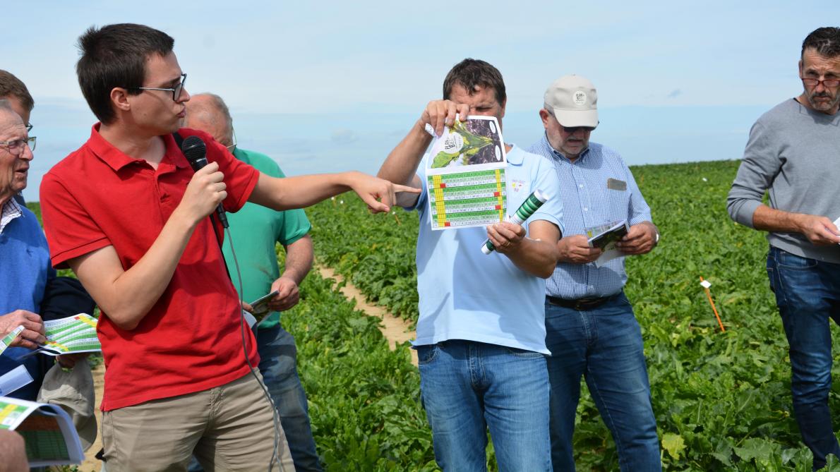 “In de biostimulantenproef konden we geen grote verschillen zien tussen de biostimulanten en hun referenties”, aldus Yannick Biemans van het KBIVB.