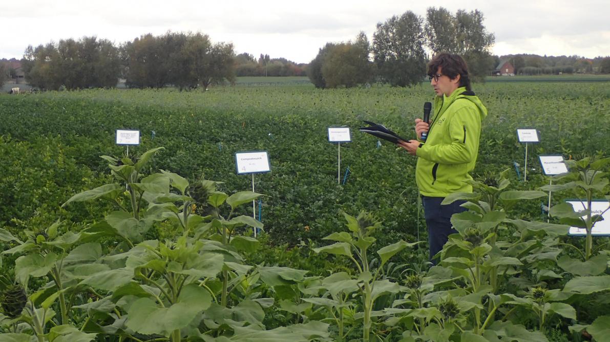 Met organische mulch kun je teelten weerbaarder maken tegen extreme weersomstandigheden.