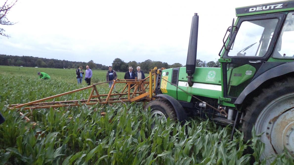 De panelleden lieten weten dat er idealiter een middel of techniek komt die knolcyperus in het veld bestrijdt. Onderzoek daarnaar moet verdergezet worden, evenals de inzet op communicatie en samenwerking.