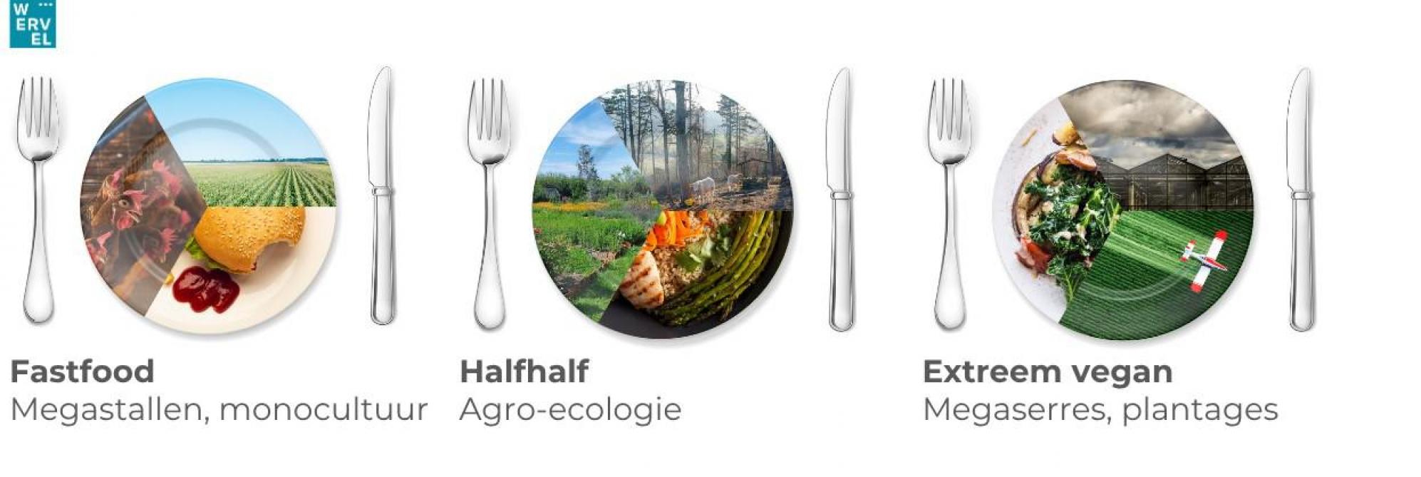 Tussen 2 uitersten ziet Wervel een gebalanceerde tussenoplossing.