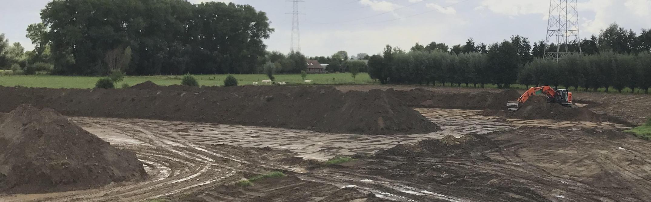 Landbouwers zijn bij de aanvoer van grond op hun percelen terecht waakzaam met betrekking tot ongewenste onkruiden, zoals knolcyperus of Japanse duizendknoop.