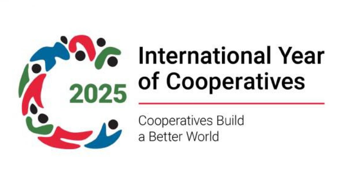 IYC2025 logo liggend