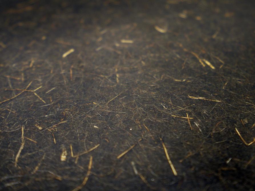 Vlasvezels zijn door hun natuurlijke sterkte, stijfheid en lichte gewicht erg geschikt voor de productie van composietmaterialen.