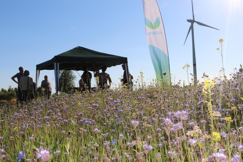 Door de landelijke omgeving van het Meetjesland ziet Volterra het potentieel van energieproductie op landbouwbedrijven.
