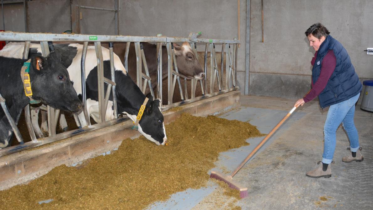 Naast al het werk op de boerderij verzorgt Evi ook de boekhouding van het bedrijf, volgt ze de administratie op, heeft ze haar huishoudelijke taken en de zorg voor de kinderen.