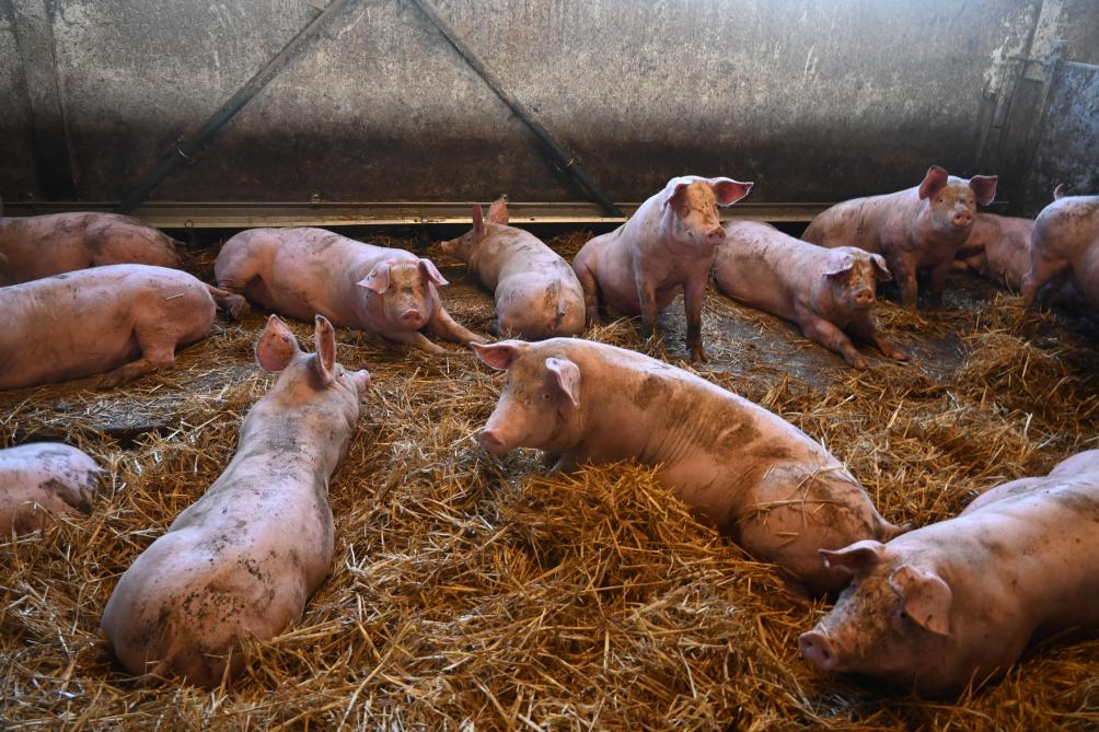 De hele familie De Wilde heeft er vertrouwen in dat PQA hun werk naar waarde schat.