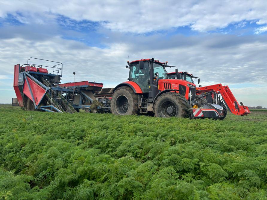 Henry van der Woerd oogstte tussen 7 en 22 uur 5,5 ha wortels.