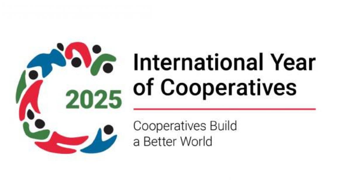 IYC2025 logo liggend