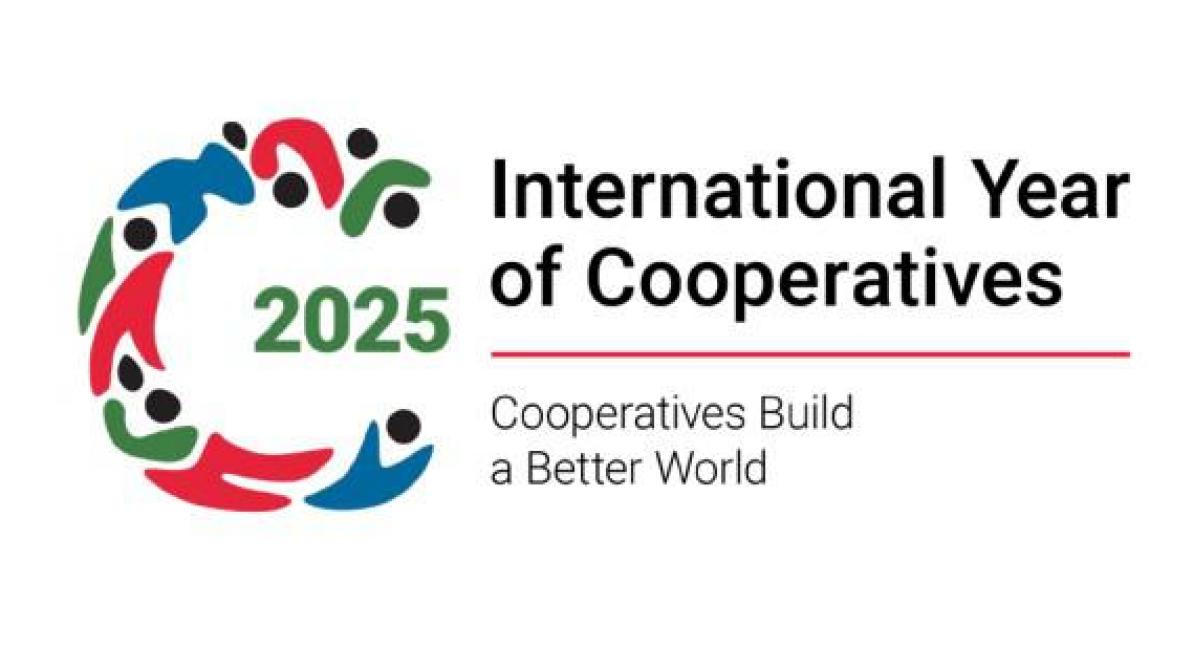 IYC2025 logo liggend