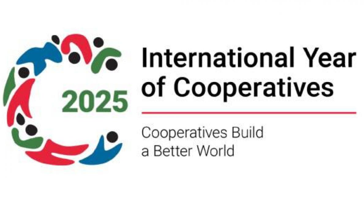 IYC2025 logo liggend