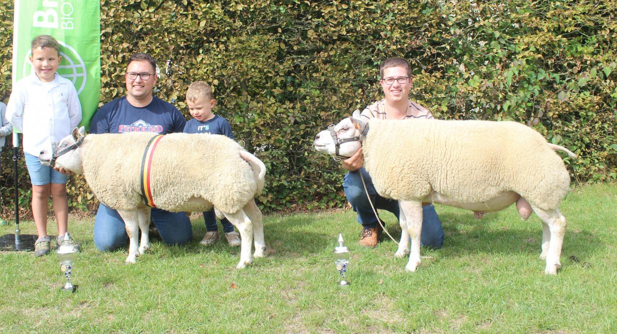 Ram 8509-9644 van de familie Vantilt kreeg het kampioenschapslint opgespeld. Ram 4212-3241 van fokker-eigenaar Werbrouck nam beslag op de reservekampioenstitel.