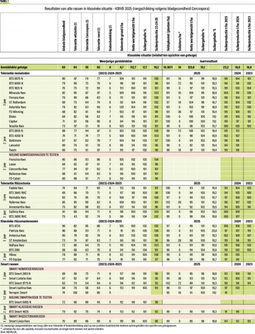 52-betteraves-NL-01-web