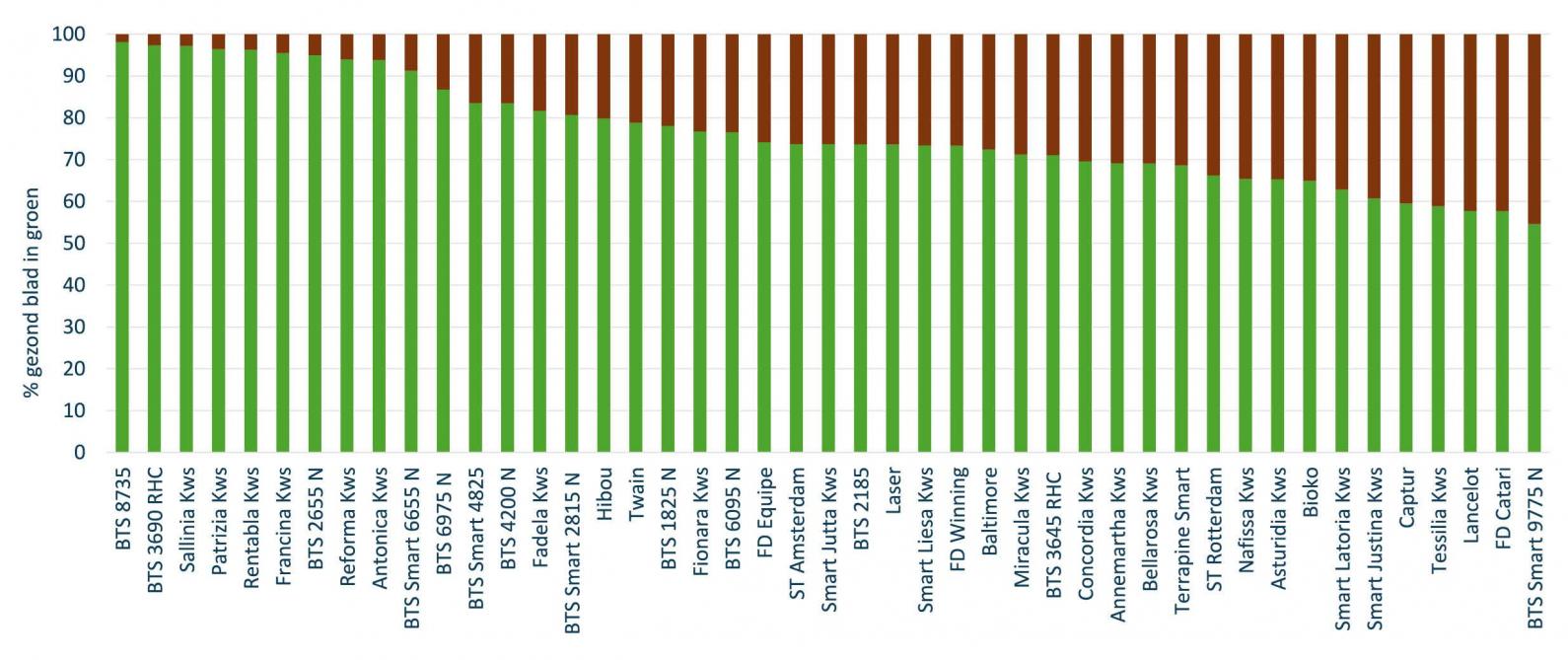 Figuur 3: Bladgezondheid - Cercospora 2025. Rangschikking van de rassen volgens de mate van tolerantie voor cercospora in 2025.