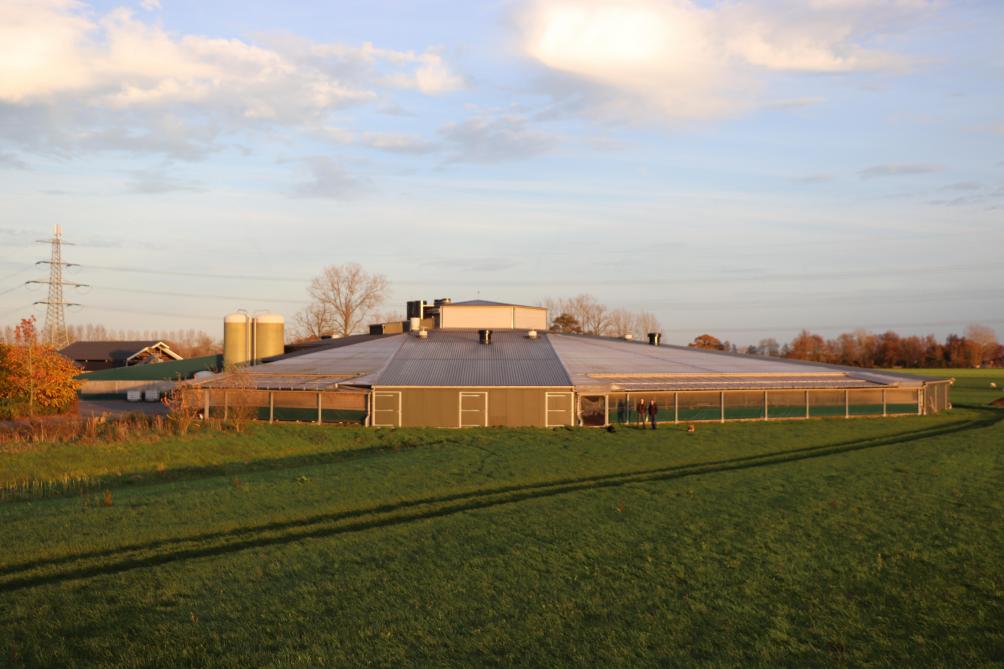 De stal heeft 3 leefomgevingen. In het midden is het nachtverblijf, in de ring daarbuiten is het dagverblijf, waar de hennen kunnen stofbaden, en er is ook nog een ‘bosrand’, waar ze kunnen scharrelen en klimmen.