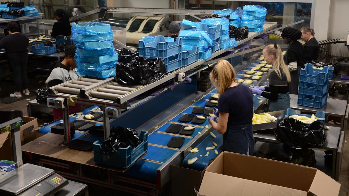 In de 3 weken voor de feestdagen is het op het bedrijf alle hens aan dek.