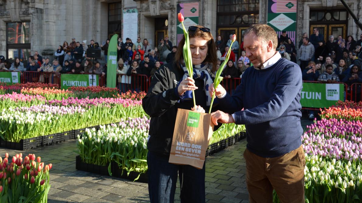 Actrice en radiopresentatrice Charlotte Sieben (meter van de actie) en Filip Fontaine, CEO van VLAM, plukten de eerste tulpen.