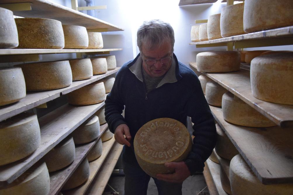 ‘t Reigershof verwerkt alle geitenmelk zelf tot een twintigtal rauwmelkse kazen en tot yoghurt.