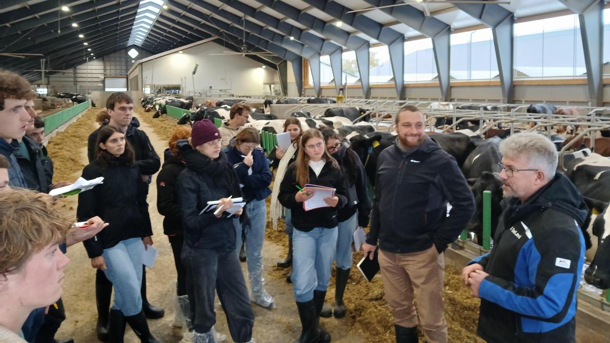 De studenten in gesprek met Michael Jensen over het management van zijn melkveebedrijf.