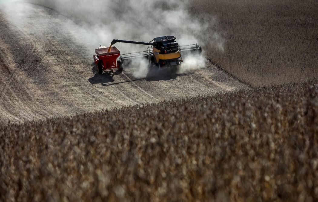 De Braziliaanse sojaoogst is intussen gestart.